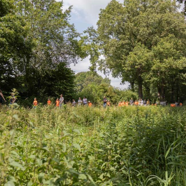 Zomeravondwandeling Schadijkerheide